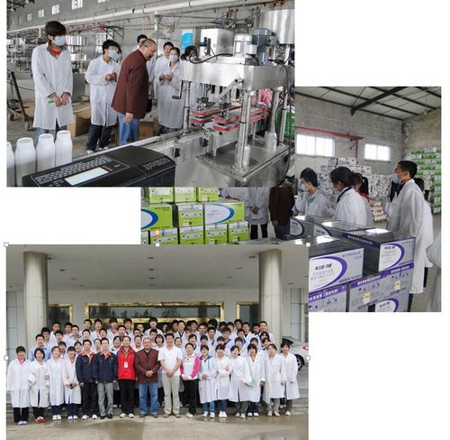 澳门新葡京网址