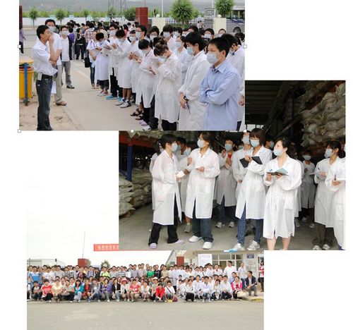 澳门新葡京网址