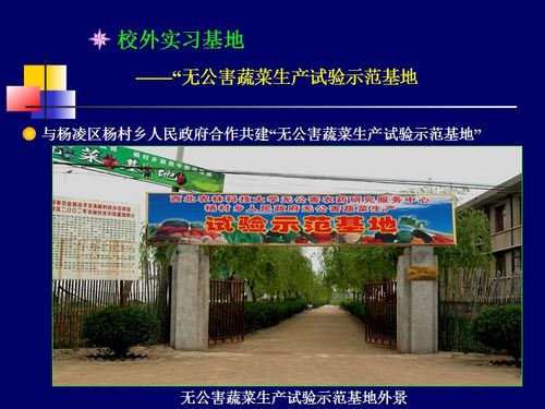 澳门新葡京网址