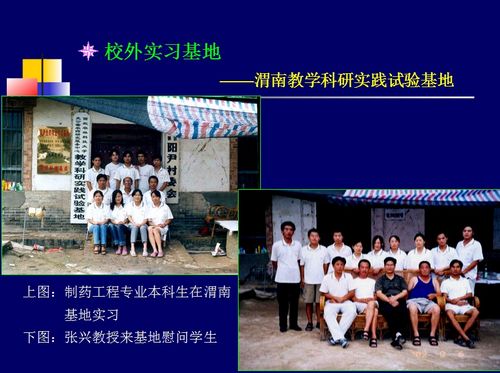 澳门新葡京网址