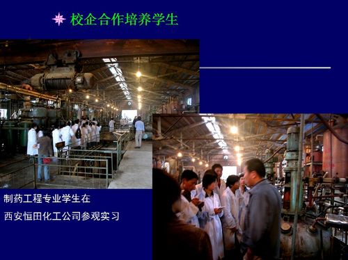 澳门新葡京网址