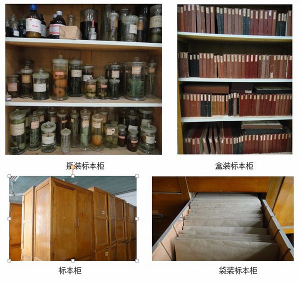 澳门新葡京网址