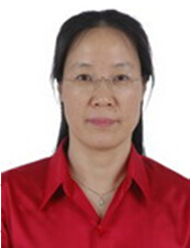 澳门新葡京网址