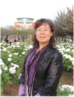 澳门新葡京网址