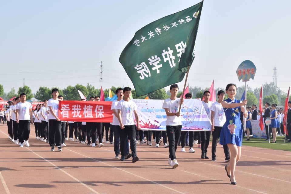 澳门新葡京网址