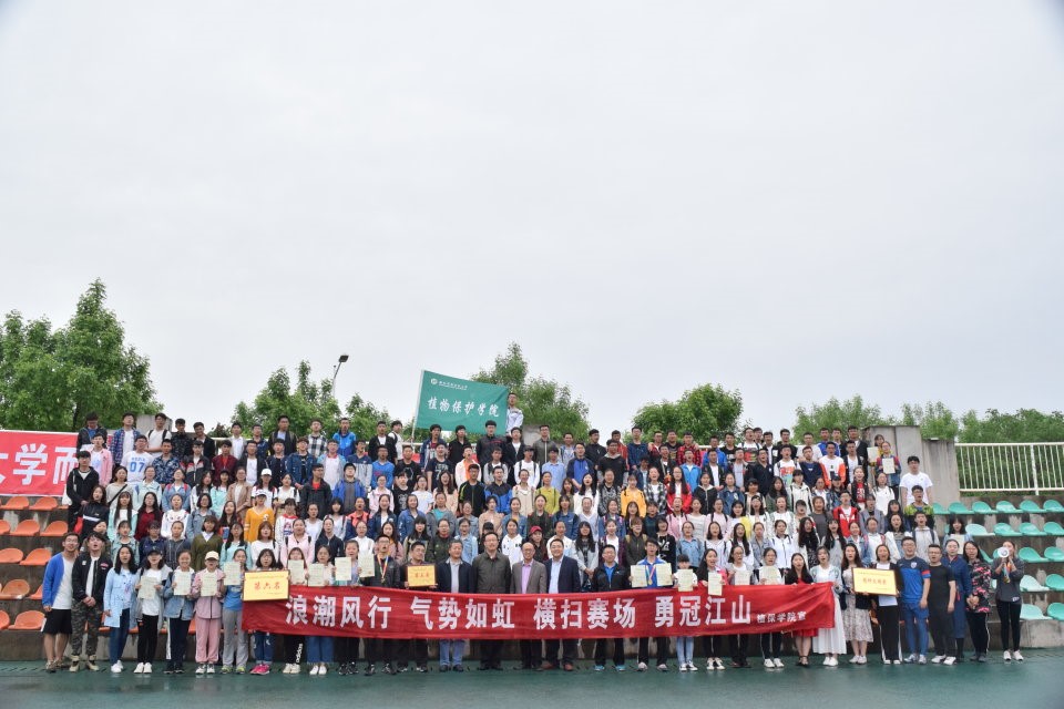 澳门新葡京网址