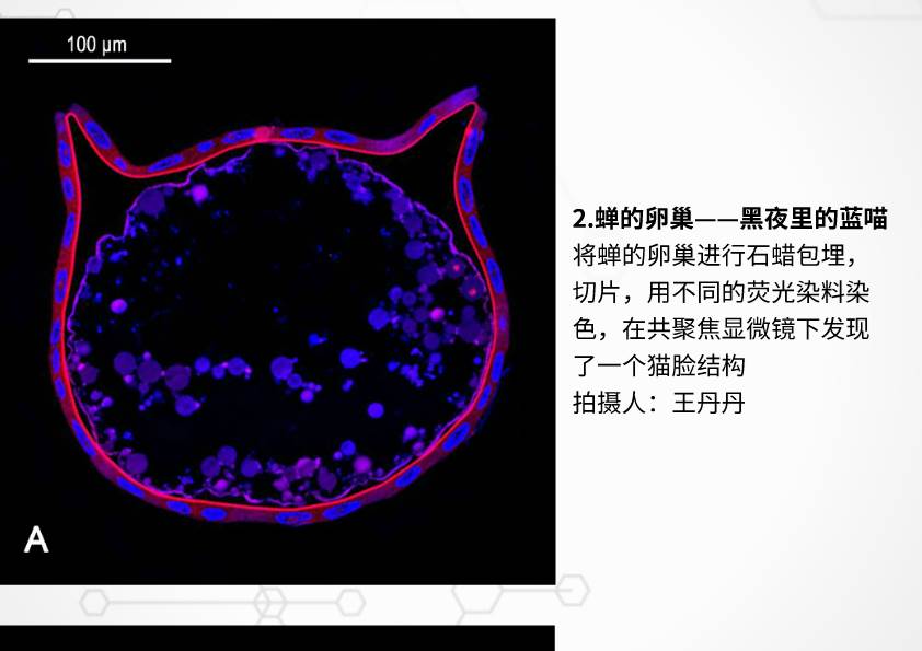 澳门新葡京网址