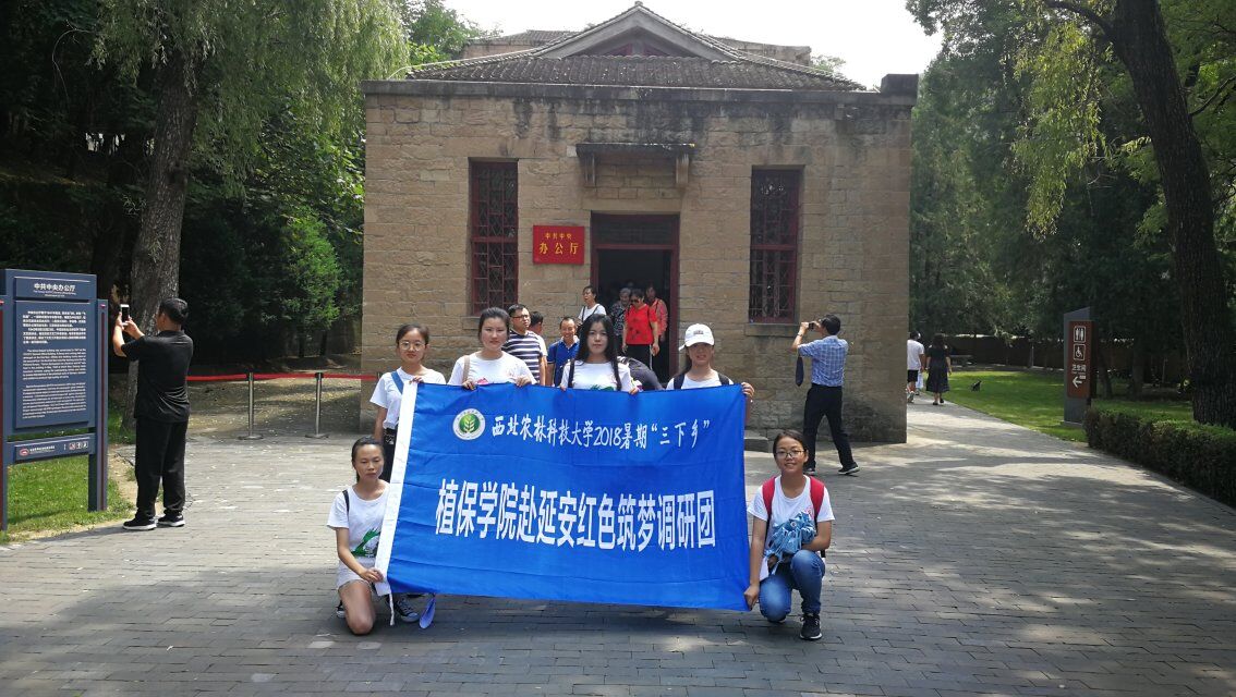 澳门新葡京网址