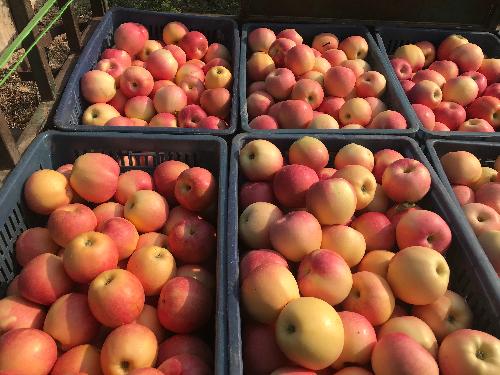 澳门新葡京网址