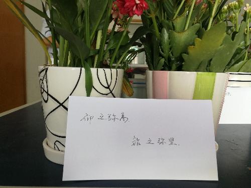 澳门新葡京网址