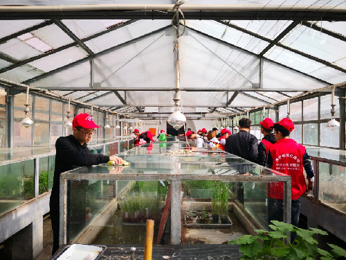 澳门新葡京网址