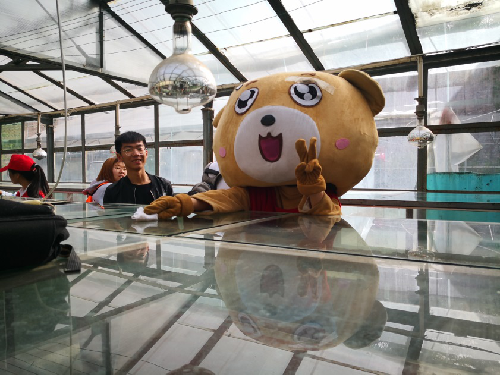 澳门新葡京网址