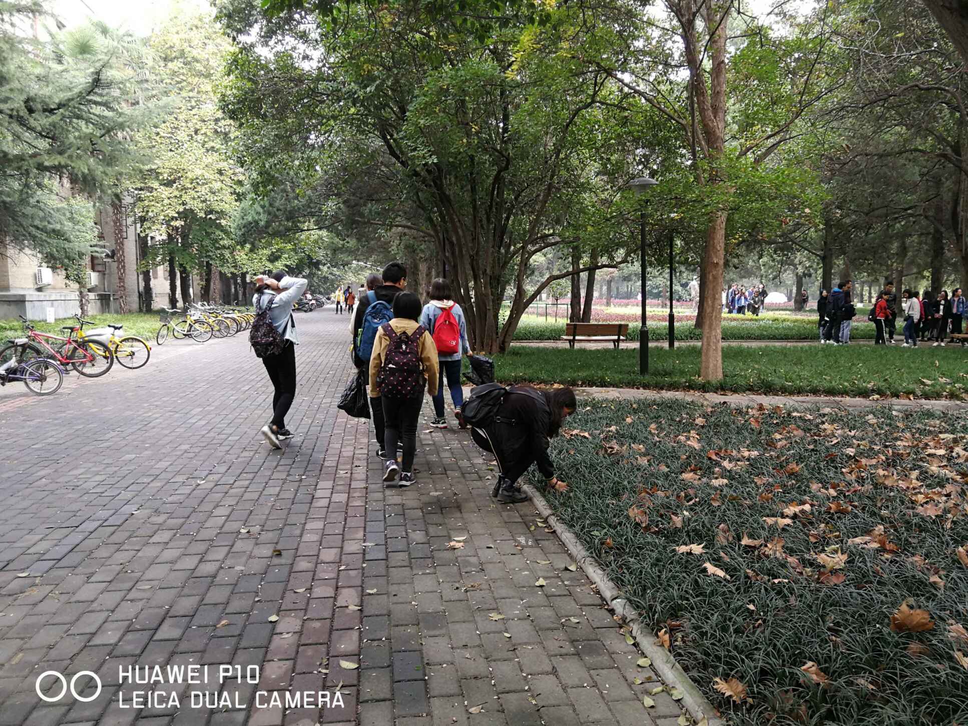 澳门新葡京网址