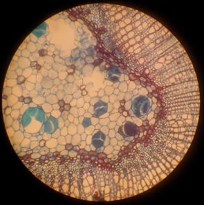 澳门新葡京网址