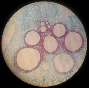 澳门新葡京网址
