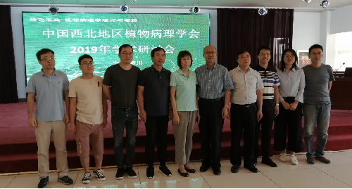 澳门新葡京网址