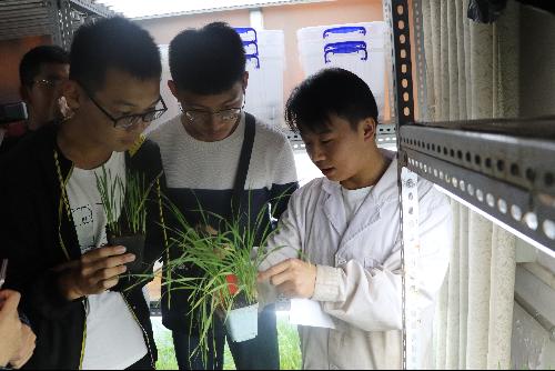 澳门新葡京网址